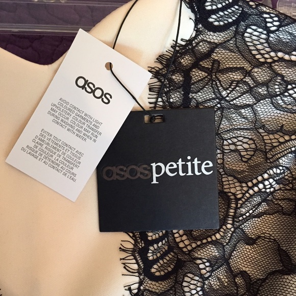 Petite Cream & Black Lace Dress - Picture 4 of 4